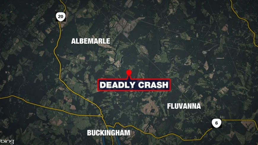 Driver dead after crashing into tree in Albemarle