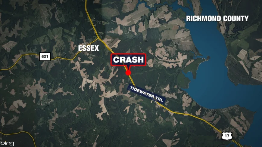 Driver seriously hurt after crashing into tree in Essex