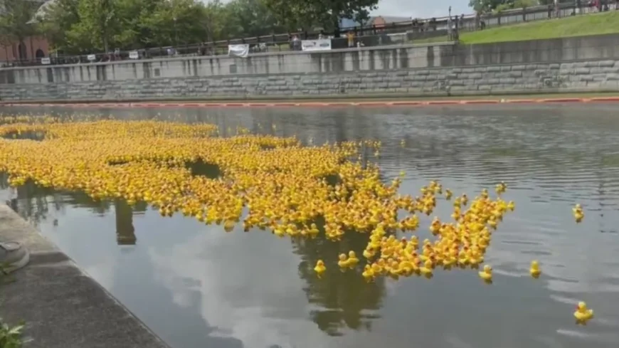 Annual RVA Duck Race set to announce first-ever mascot