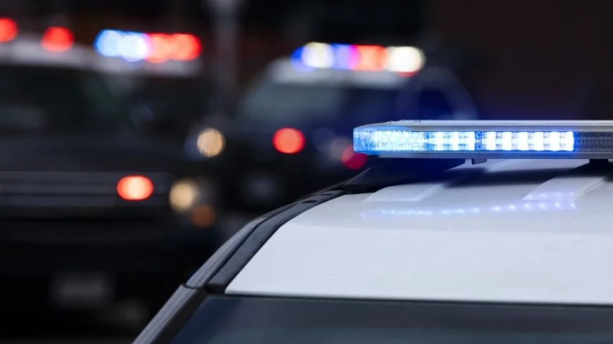 Felon found with drugs, sawed-off shotgun after police pursuit in Albemarle