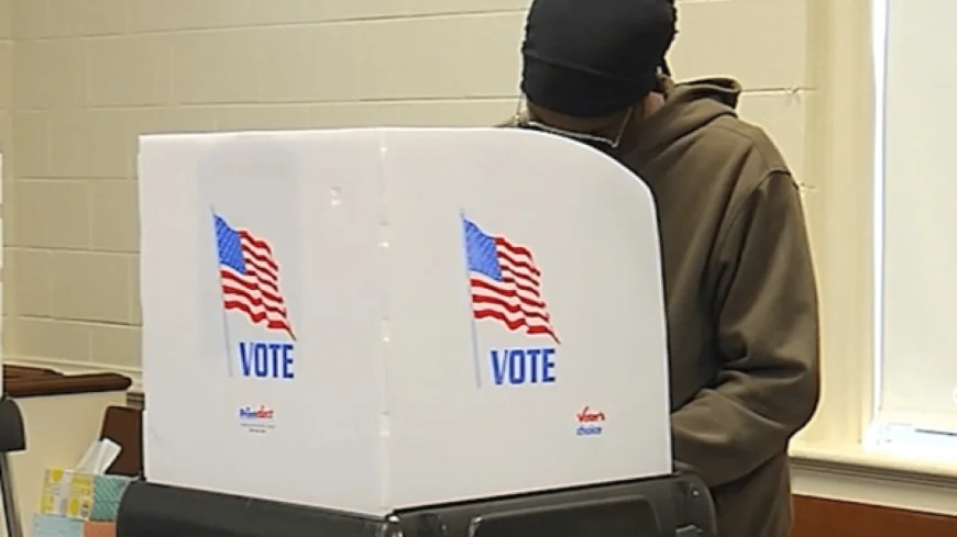 Special subcommittee considers getting rid of Virginia’s off-year elections