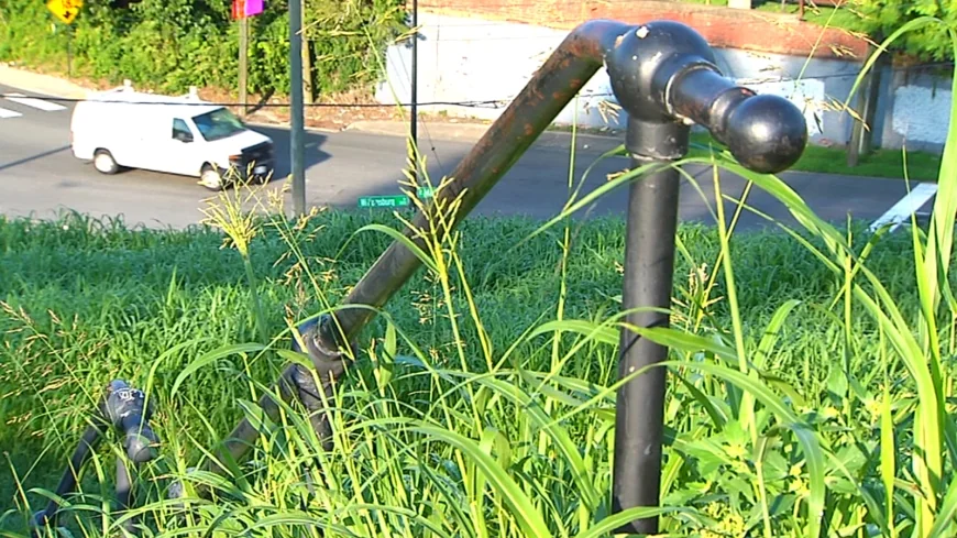 Neighbors voice concerns over tall grass at Richmond’s Libbie Hill Park