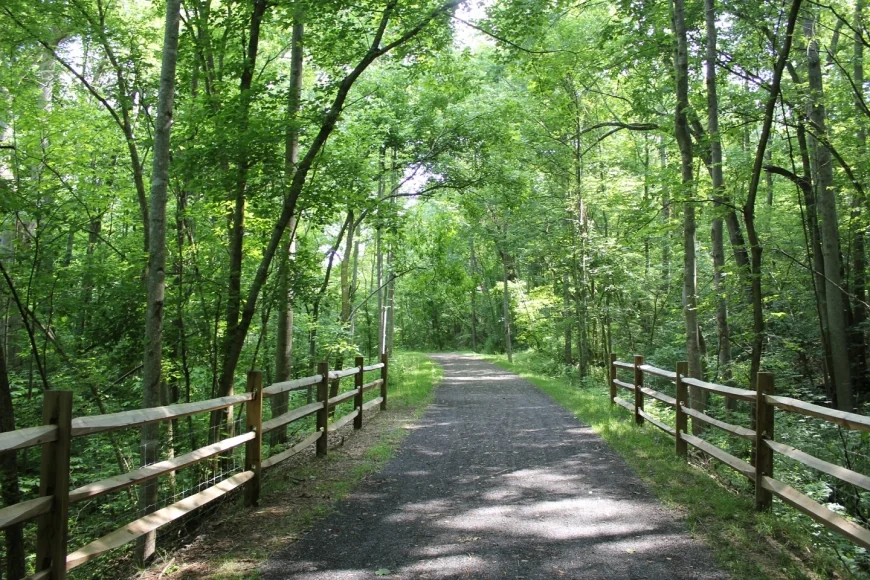 Accessible Alleghany Adventures