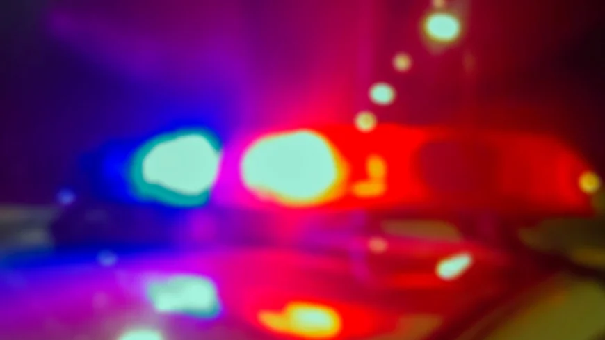 Thieves taking ‘anything in sight’ from cars in Colonial Heights neighborhood: police