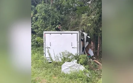 Maryland man dead after running off road, hitting tree in Prince George