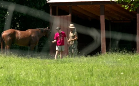 Healing with Horses: King and Queen County farm teaches life skills to children with autism