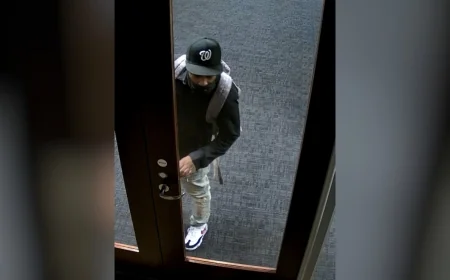 Person of interest sought after multiple burglaries, larcenies in Henrico