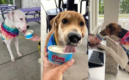 Klines Dairy Bar pup cups support Richmond Animal League throughout August