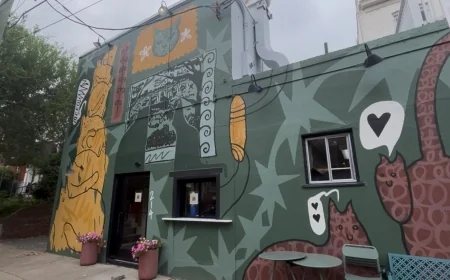 ‘The cat’s out of the bag’: Richmond’s first cat café is on the way