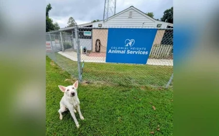 Dog abandoned, tied to fence outside of Colonial Heights Animal Control