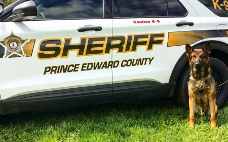 Section of High Bridge Trail in Prince Edward closed after two cyclists discovered human remains