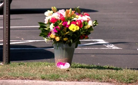 Remembering Dania Bashier, 11-year-old girl hit and killed in Henrico while riding bike