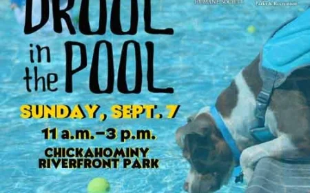 Drool in the Pool – Take Your Pooch For a Swim!  September 7
