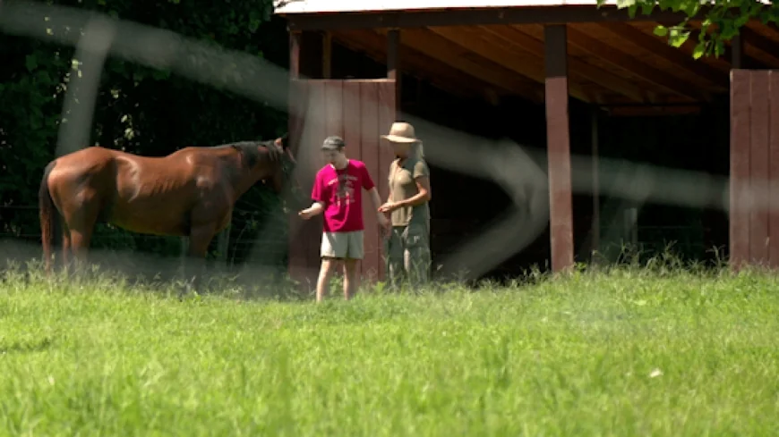 Healing with Horses: King and Queen County farm teaches life skills to children with autism