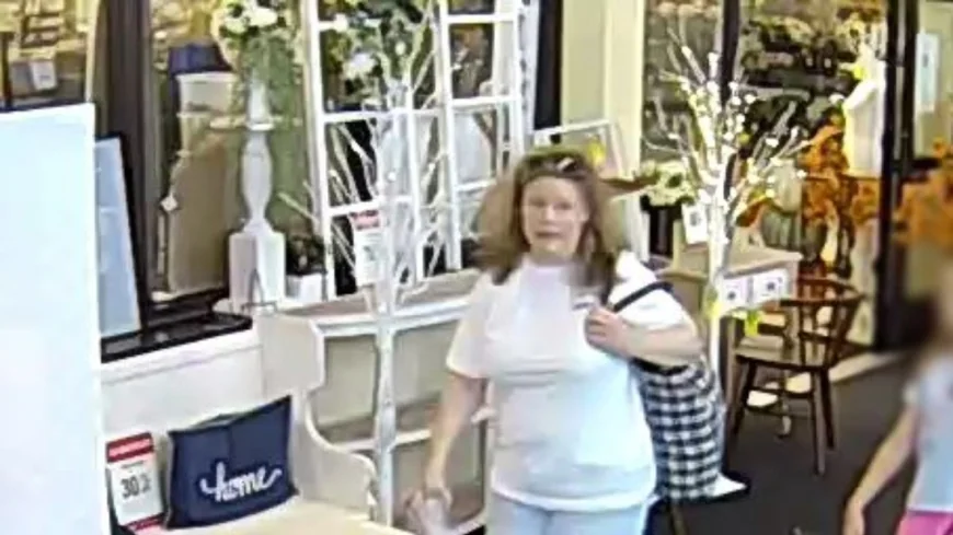 Police seek suspect in Hanover Hobby Lobby shoplift