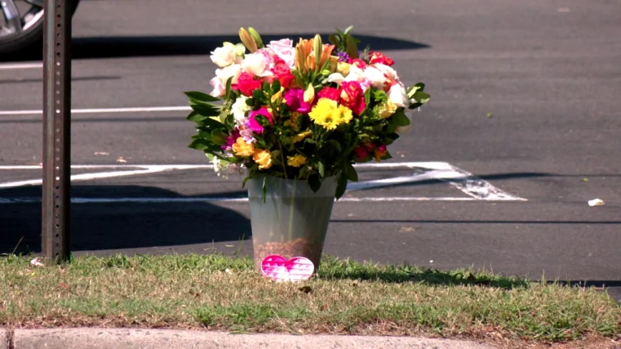 Remembering Dania Bashier, 11-year-old girl hit and killed in Henrico while riding bike