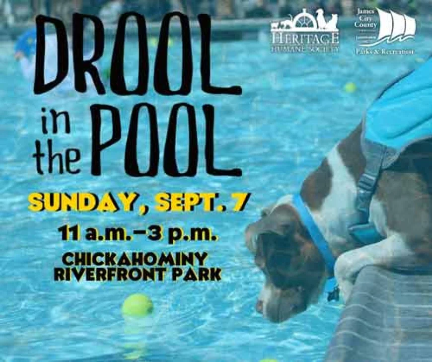 Drool in the Pool – Take Your Pooch For a Swim! September 7