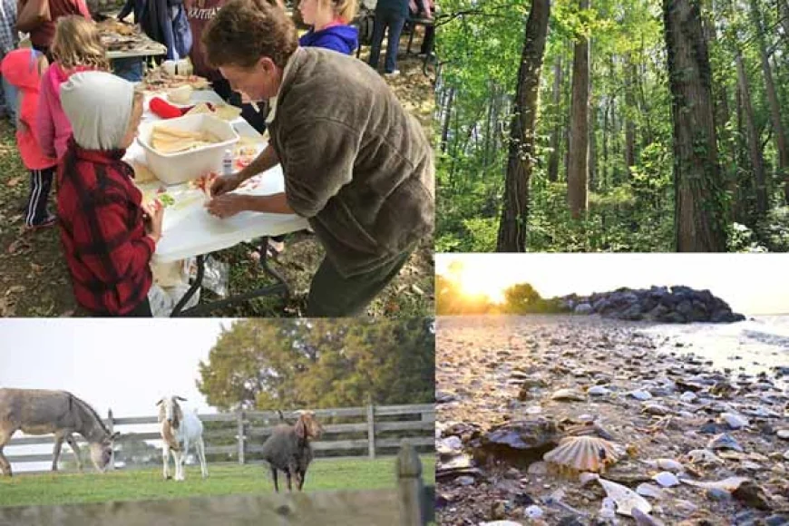 Chippokes State Park Events – August
