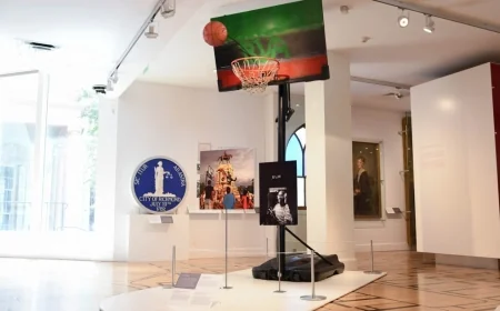 Basketball hoop, ball used at Lee Circle during summer 2020 on display at the Valentine