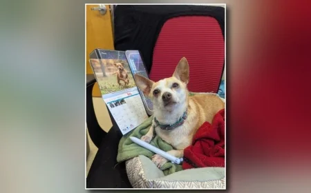 Vote for your favorite pets to be featured in RAL’s 2026 calendar