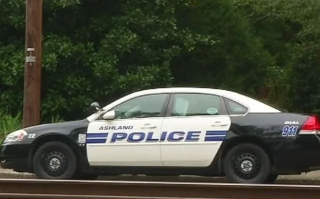 Suspects charged in vandalism and thefts worth over $12,000