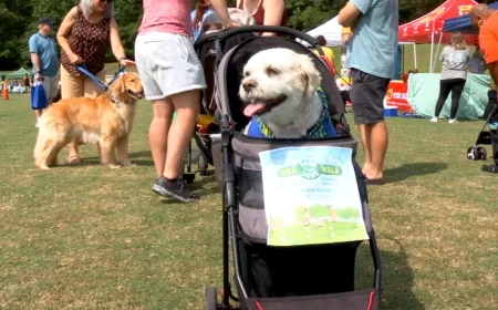 Henrico to host third annual dog walk event to support homeless animals