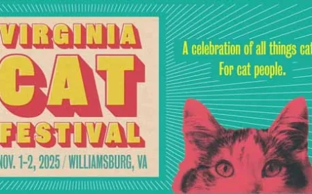 Cat Lovers Unite: Virginia Cat Festival Comes to Williamsburg – November 1 & 2