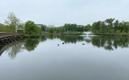 Robust Walk-a-thon: A Fun Fitness Event for Seniors!