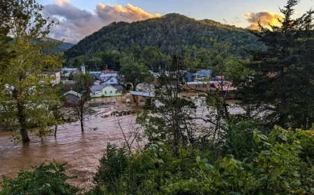 Virginia first to launch USDA Farm Recovery Block Grant Program for Hurricane Helene victims