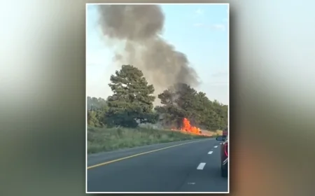 27-year-old Henrico man identified as victim of fiery I-295 crash in Hanover involving shots fired