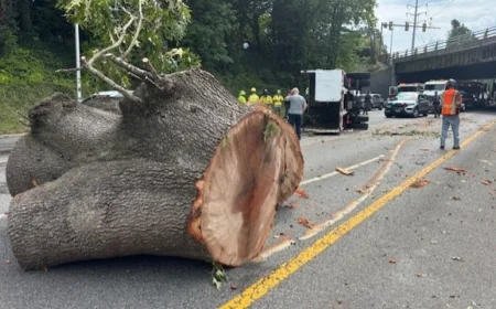All lanes at Richmond section of I-95 North were closed, truck driver injured in single-vehicle crash
