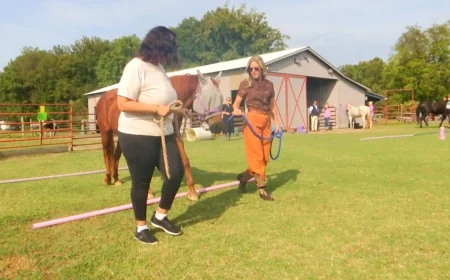 People in recovery build relationships through equine therapy in Amelia County