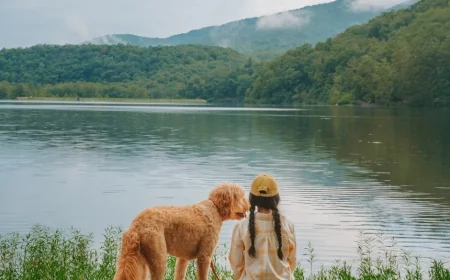 24 Hour Itinerary – The Alleghany Highlands of VA