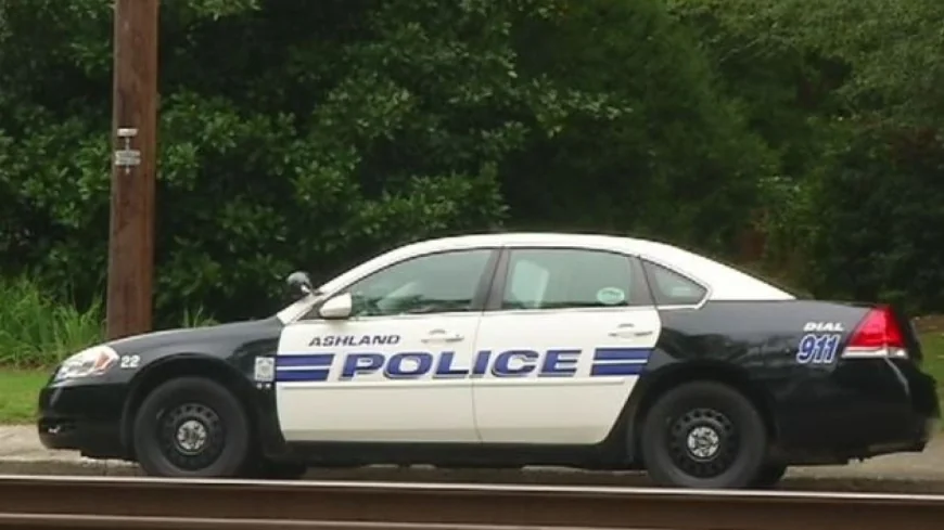 Suspects charged in vandalism and thefts worth over $12,000