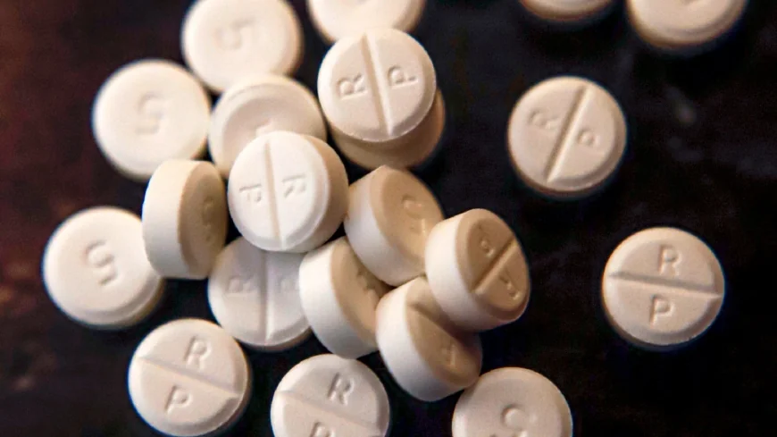 New UVA program uses app to fight opioid and stimulant crisis