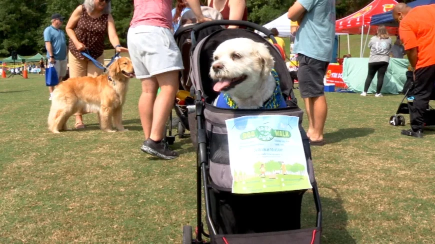 Henrico to host third annual dog walk event to support homeless animals
