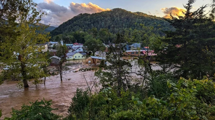 Virginia first to launch USDA Farm Recovery Block Grant Program for Hurricane Helene victims