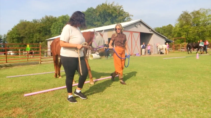People in recovery build relationships through equine therapy in Amelia County