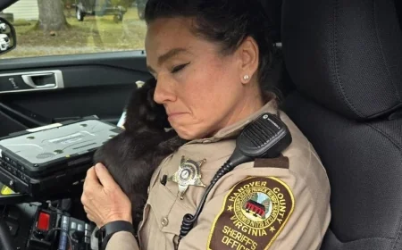 PHOTOS: Hanover sergeant rescues starving kitten from street