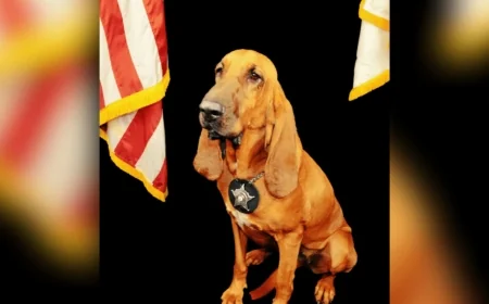 Retired K-9 with Hanover Sheriff Office dies after battle with cancer