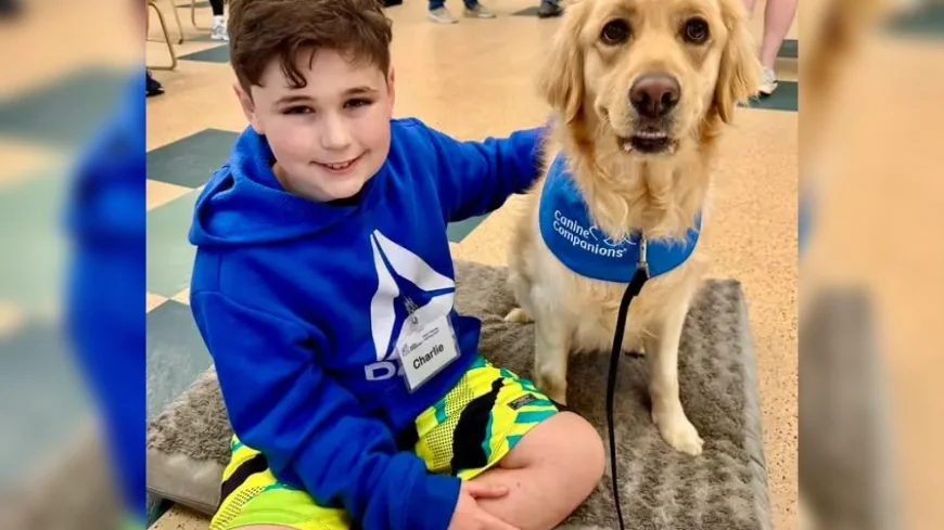 Service dog gives Hanover boy freedom from panic attacks
