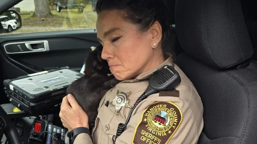 PHOTOS: Hanover sergeant rescues starving kitten from street