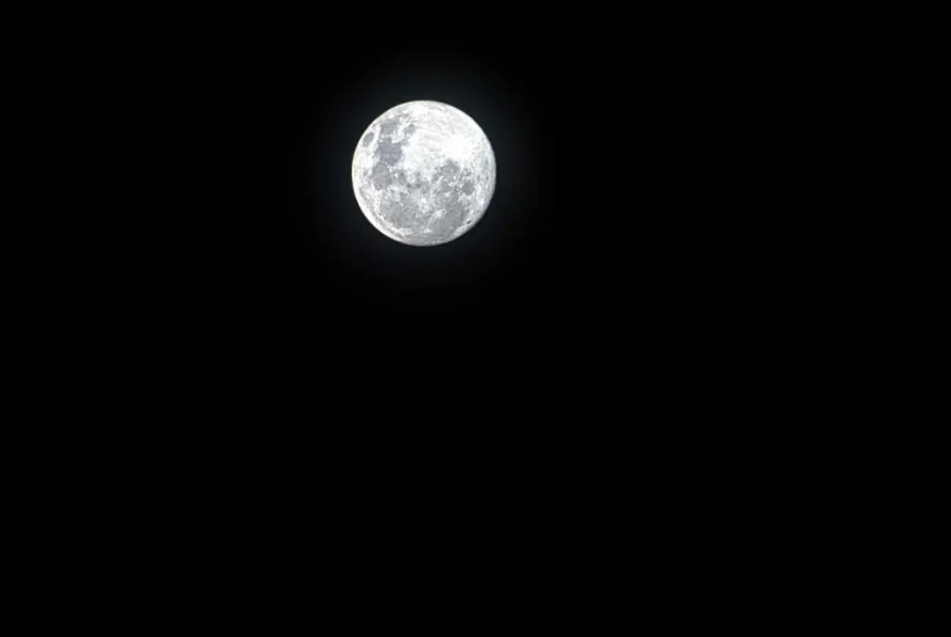Fall Full Moon Hikes in Freedom Park