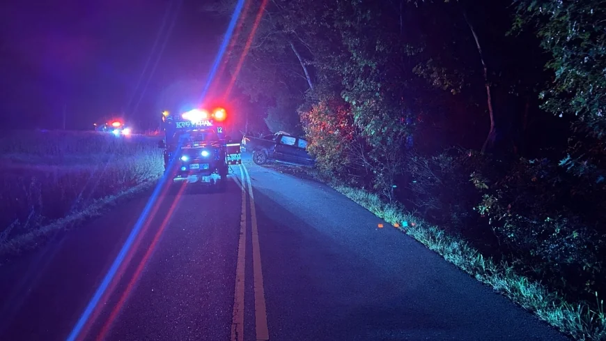 35-year-old West Point man dead after running off King William road, hitting trees