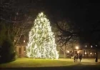 2025 Community Christmas Tree Lighting in Colonial Williamsburg – Free & Open to the Public