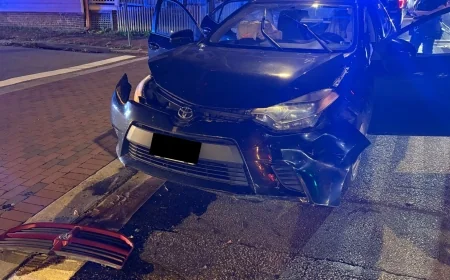 Halloween hit-and-run leaves Richmond couple shaken, searching for answers