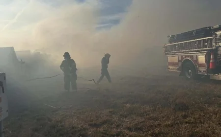 PHOTOS: Brush fire sparked on Prince George solar farm