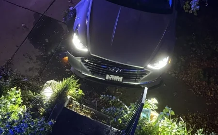 VIDEO: Richmond resident watches driver crash stolen car into her porch