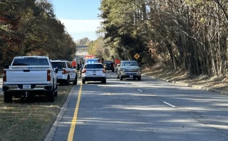 Truck crash causes delays on Parham Road due to lawn care materials spill