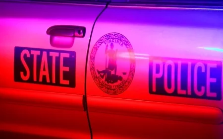 Over $1.2 million in illegal narcotics seized across Virginia in just one week: VSP